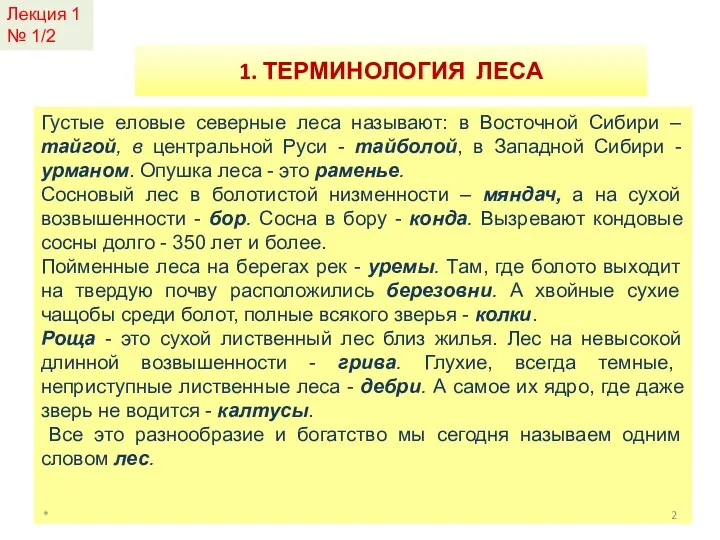 Густые еловые северные леса называют: в Восточной Сибири – тайгой, в центральной Руси