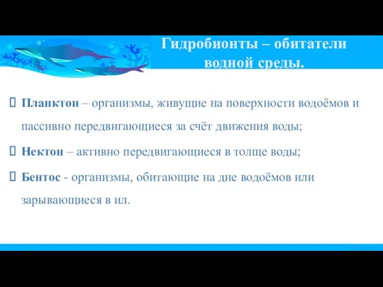 Гидробионты – обитатели водной среды. Планктон – организмы, живущие на