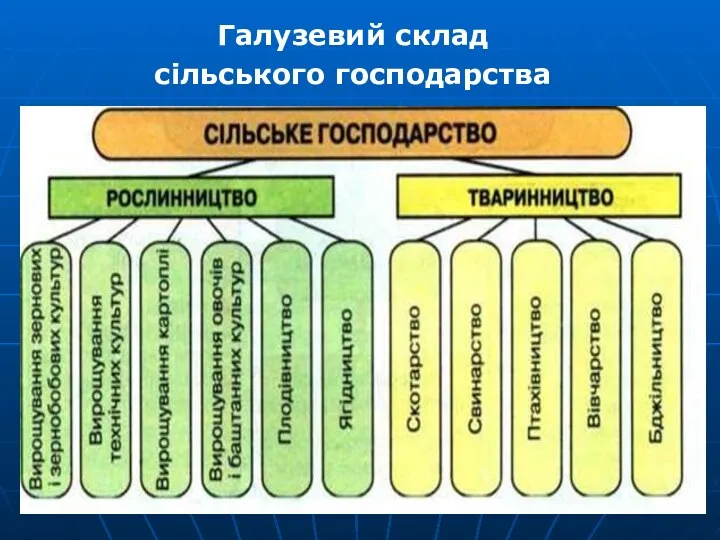 Галузевий склад сільського господарства