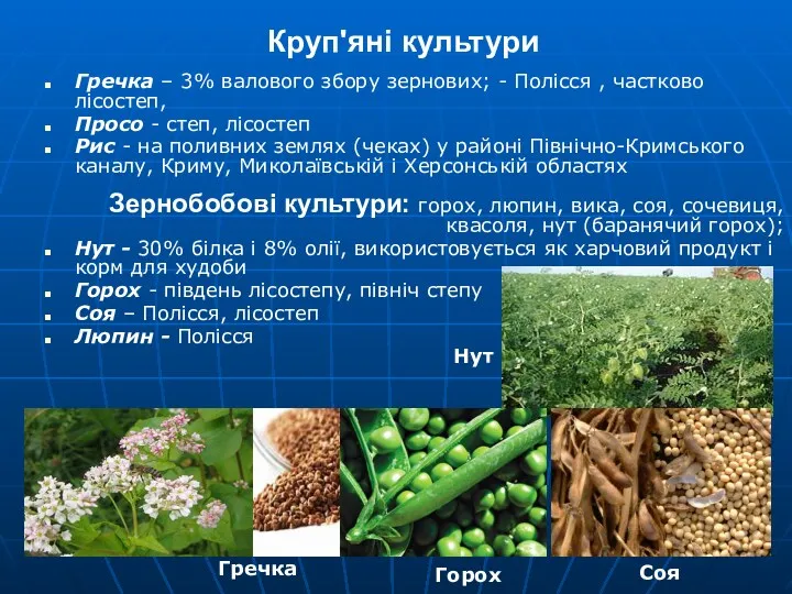 Круп'яні культури Гречка – 3% валового збору зернових; - Полісся