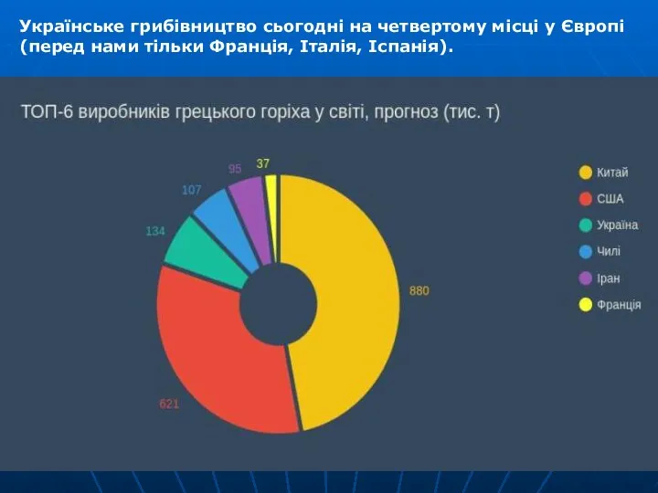 Українське грибівництво сьогодні на четвертому місці у Європі (перед нами тільки Франція, Італія, Іспанія).