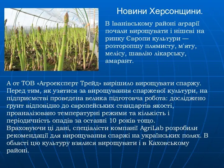 А от ТOВ «Агрoекcперт Трейд» вирішило вирощувати спаржу. Перед тим, як узятися за