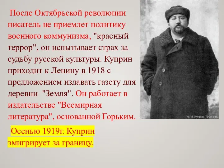 После Октябрьской революции писатель не приемлет политику военного коммунизма, "красный