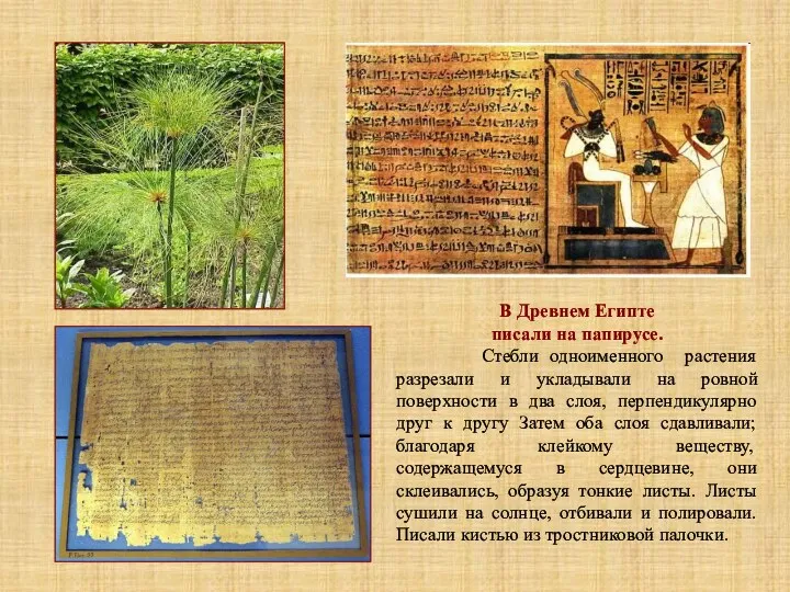 В Древнем Египте писали на папирусе. Стебли одноименного растения разрезали и укладывали на