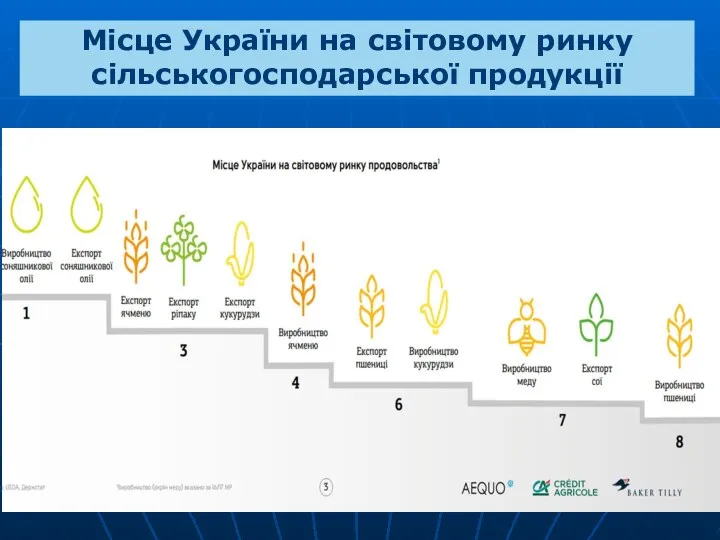 Місце України на світовому ринку сільськогосподарської продукції