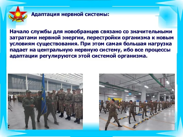 Адаптация нервной системы: Начало службы для новобранцев связано со значительными