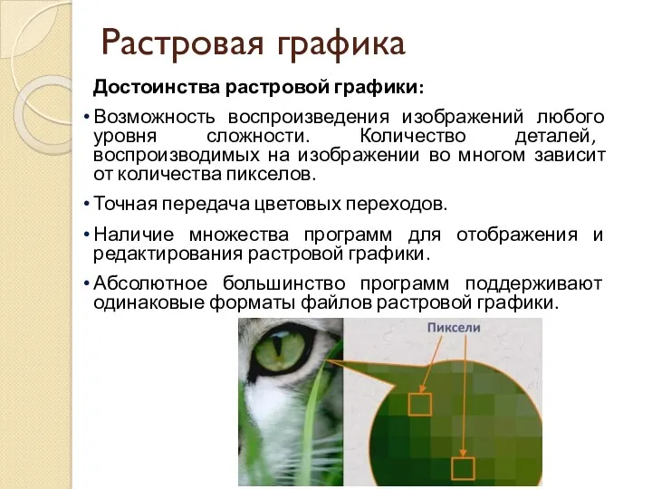 Растровая графика Достоинства растровой графики: Возможность воспроизведения изображений любого уровня