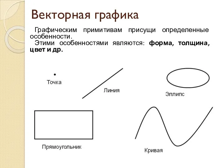 Векторная графика Графическим примитивам присущи определенные особенности. Этими особенностями являются: форма, толщина, цвет и др.