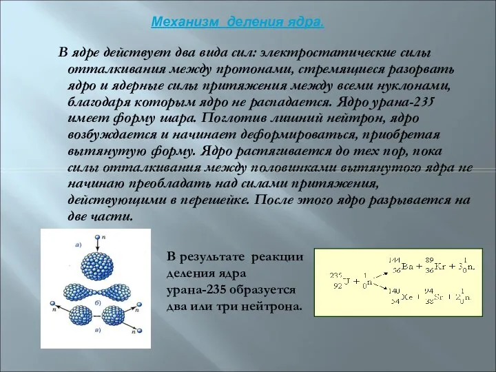 В ядре действует два вида сил: электростатические силы отталкивания между