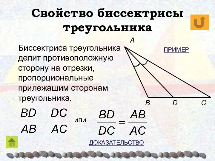 Свойство биссектрисы треугольника C B A Биссектриса треугольника делит противоположную