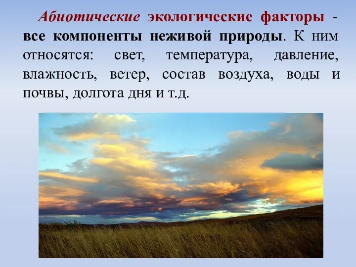 Абиотические экологические факторы - все компоненты неживой природы. К ним