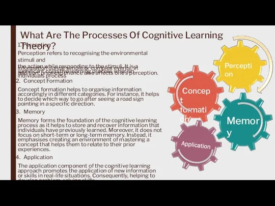 What Are The Processes Of Cognitive Learning Theory? 1. Perception