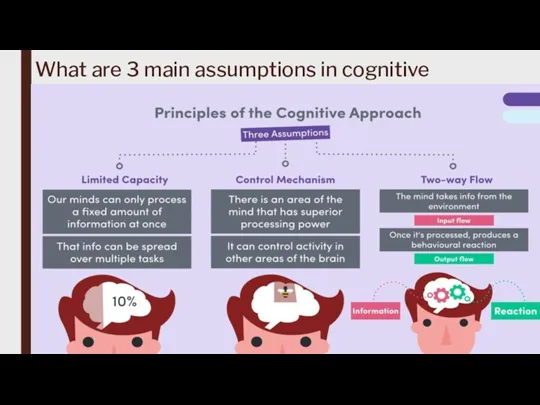 What are 3 main assumptions in cognitive approach?
