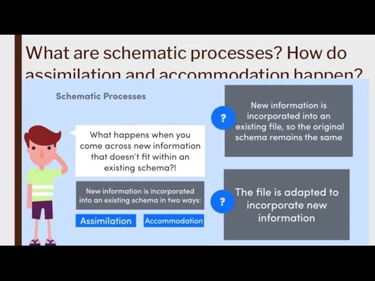 What are schematic processes? How do assimilation and accommodation happen?