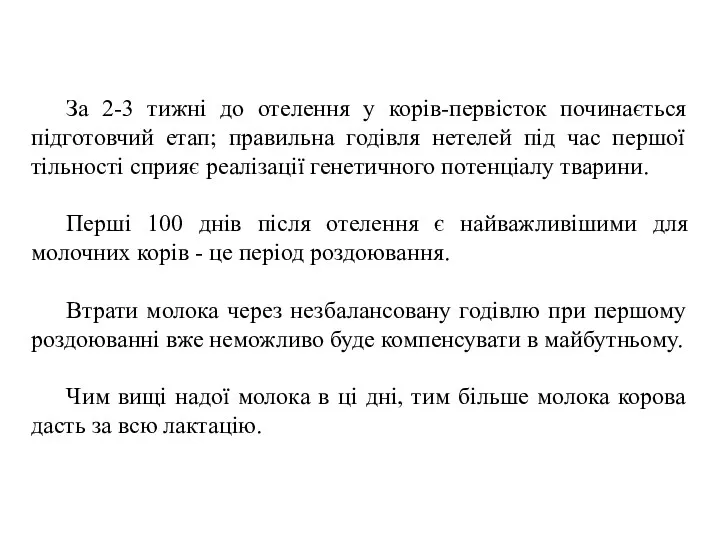 За 2-3 тижні до отелення у корів-первісток починається підготовчий етап; правильна годівля нетелей