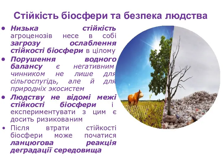 Стійкість біосфери та безпека людства Низька стійкість агроценозів несе в