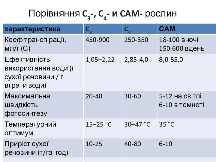 Порівняння C3-, C4- и CAM- рослин