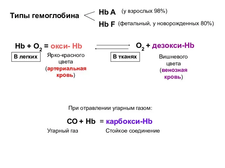 Типы гемоглобина Hb A Hb F (у взрослых 98%) (фетальный,