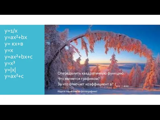 у=1/х у=ах²+bx у= кх+в у=х у=ах²+bx+c y=х³ y=|х| у=ах²+c Опеределить