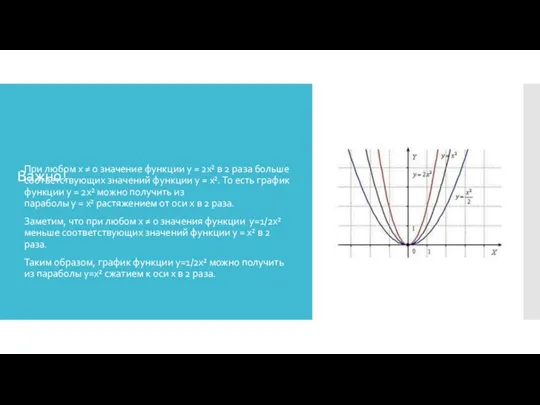 Важно! При любом x ≠ 0 значение функции y =