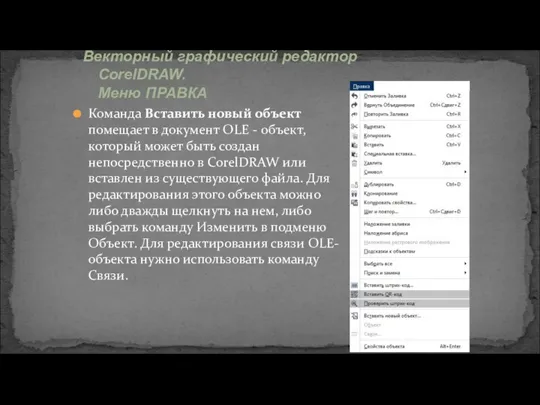 Команда Вставить новый объект помещает в документ OLE - объект,