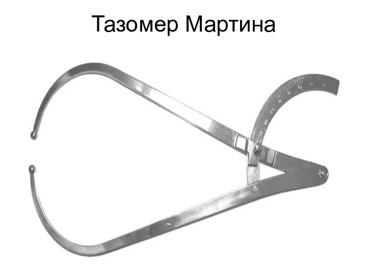 Тазомер Мартина