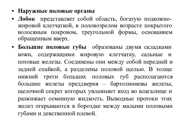 Наружные половые органы Лобок представляет собой область, богатую подкожно-жировой клетчаткой,