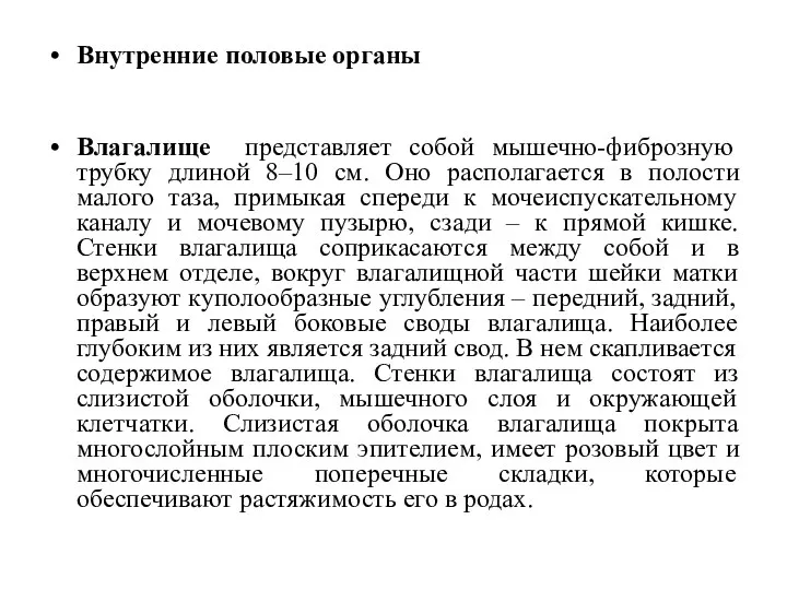 Внутренние половые органы Влагалище представляет собой мышечно-фиброзную трубку длиной 8–10