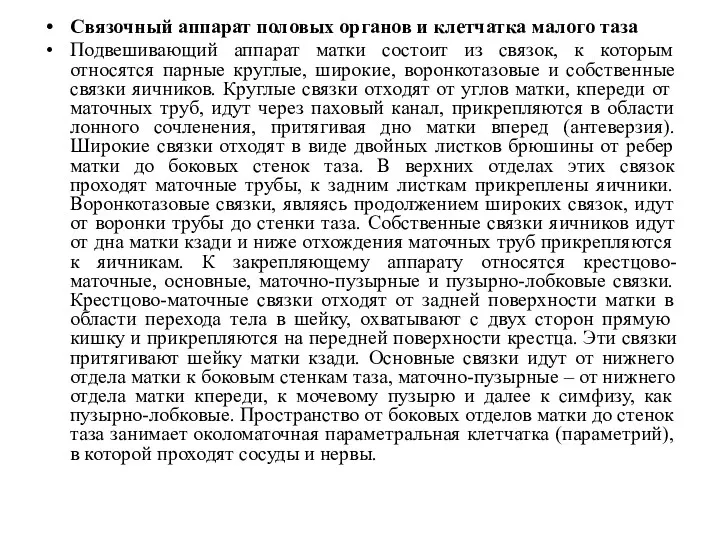 Связочный аппарат половых органов и клетчатка малого таза Подвешивающий аппарат