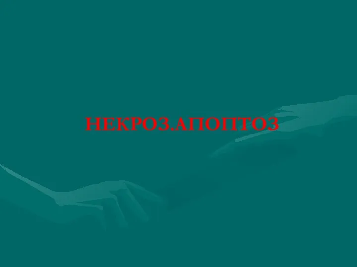 Некроз. Апоптоз