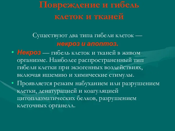 Повреждение и гибель клеток и тканей Существуют два типа гибели клеток — некроз