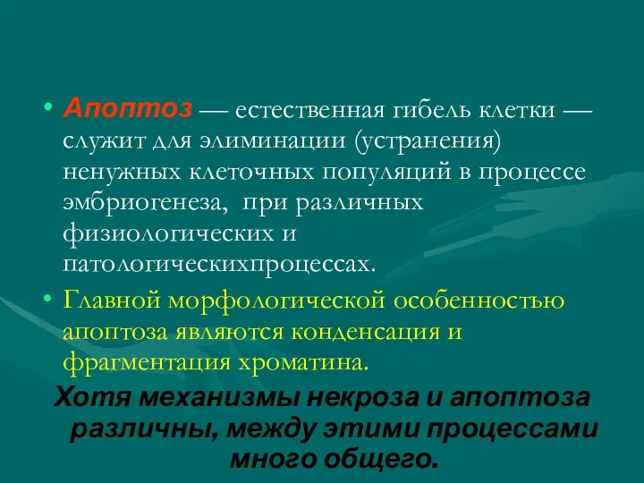 Апоптоз — естественная гибель клетки — служит для элиминации (устранения)