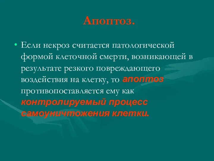 Апоптоз. Если некроз считается патологической формой клеточной смерти, возникающей в результате резкого повреждающего