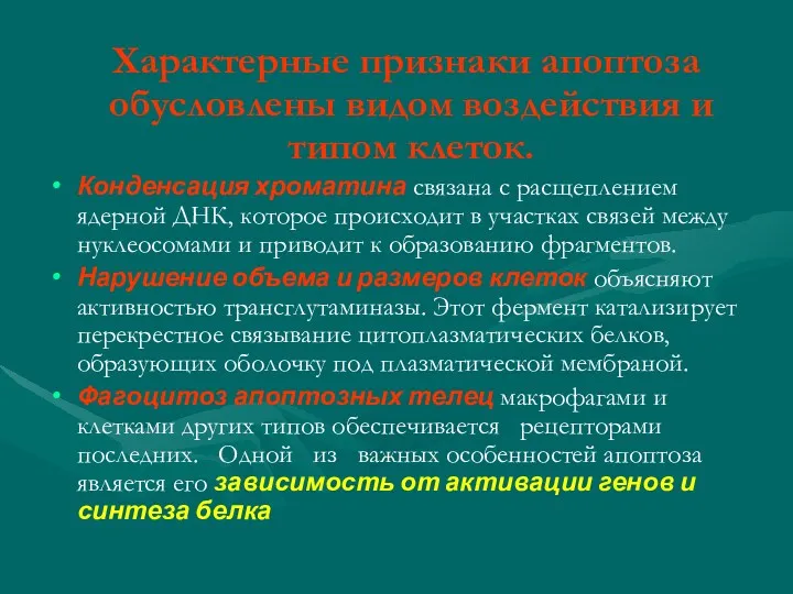 Характерные признаки апоптоза обусловлены видом воздействия и типом клеток. Конденсация