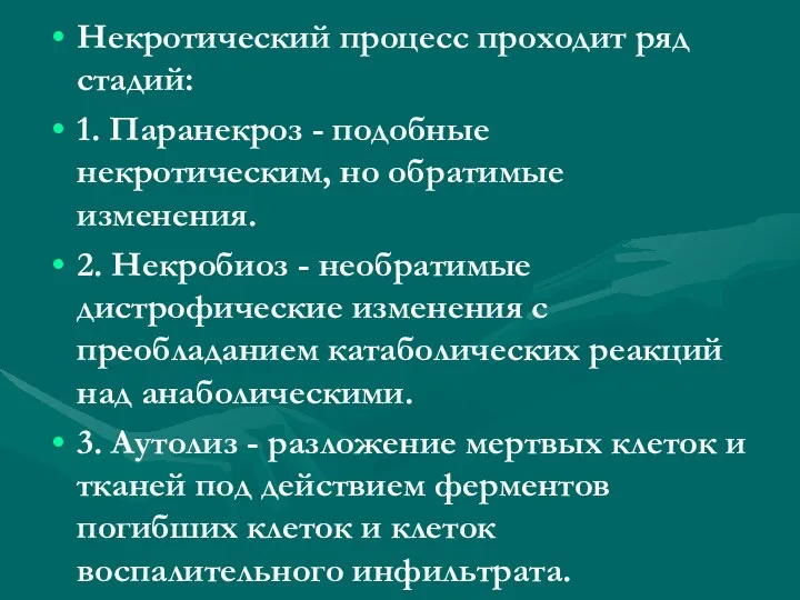 Некротический процесс проходит ряд стадий: 1. Паранекроз - подобные некротическим, но обратимые изменения.