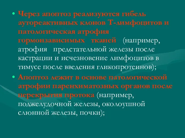 Через апоптоз реализуются гибель аутореактивных клонов Т-лимфоцитов и патологическая атрофия гормонзависимых тканей (например,