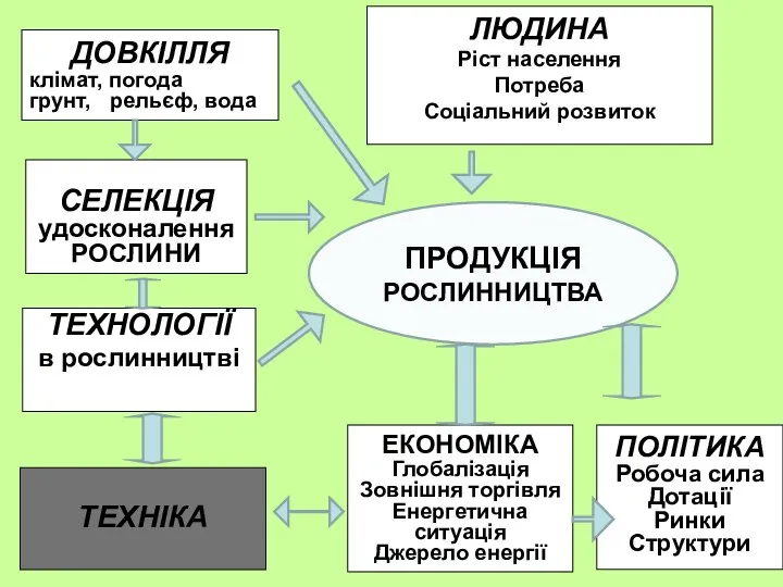 ТЕХНІКА СЕЛЕКЦІЯ удосконалення РОСЛИНИ ПРОДУКЦІЯ РОСЛИННИЦТВА