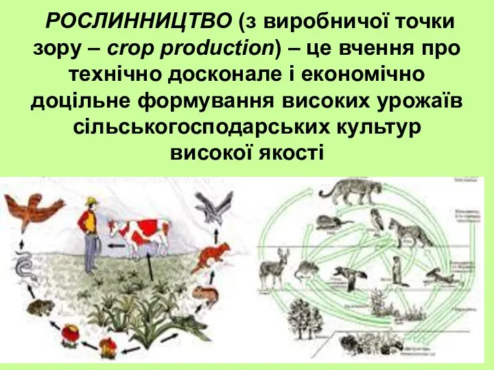 РОСЛИННИЦТВО (з виробничої точки зору – crop production) – це