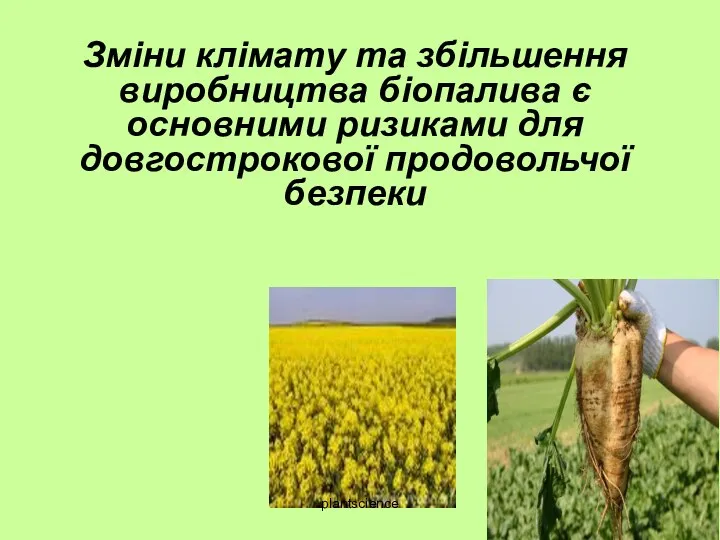 Зміни клімату та збільшення виробництва біопалива є основними ризиками для довгострокової продовольчої безпеки plantscienсe