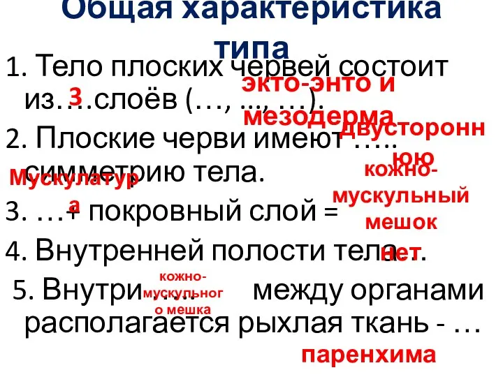 Общая характеристика типа 1. Тело плоских червей состоит из….слоёв (…, ..., …). 2.