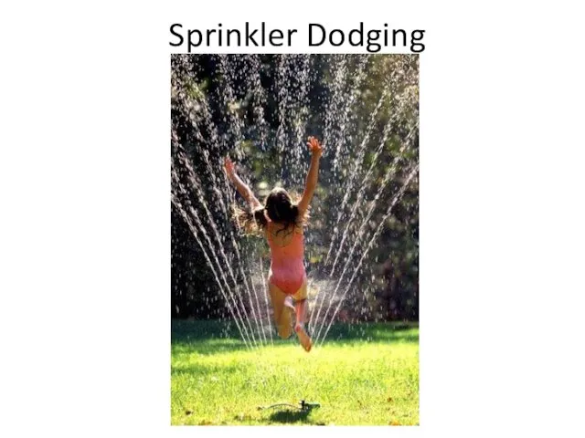 Sprinkler Dodging