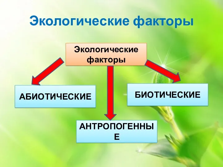 Экологические факторы Экологические факторы АБИОТИЧЕСКИЕ АНТРОПОГЕННЫЕ БИОТИЧЕСКИЕ