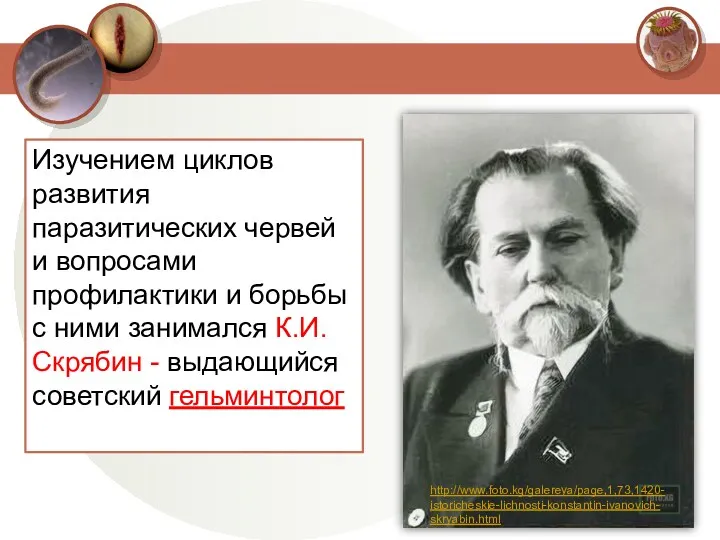 Изучением циклов развития паразитических червей и вопросами профилактики и борьбы