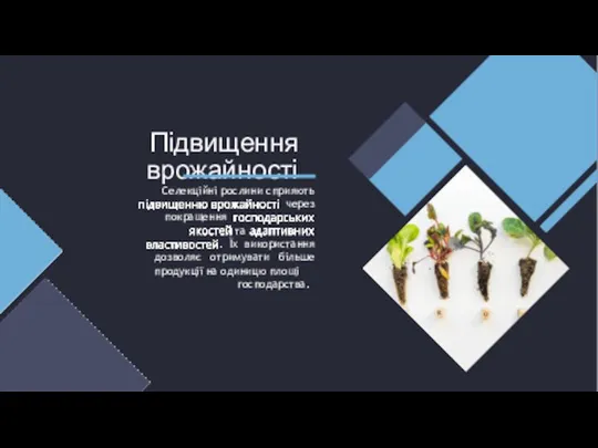 Підвищення врожайності Селекційні рослини сприяють через покращення та . Їх