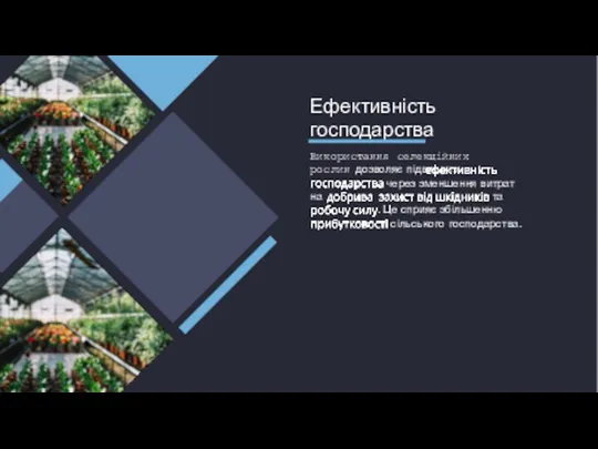 Ефективність господарства Використання селекційних рослин дозволяє підвищити через зменшення витрат