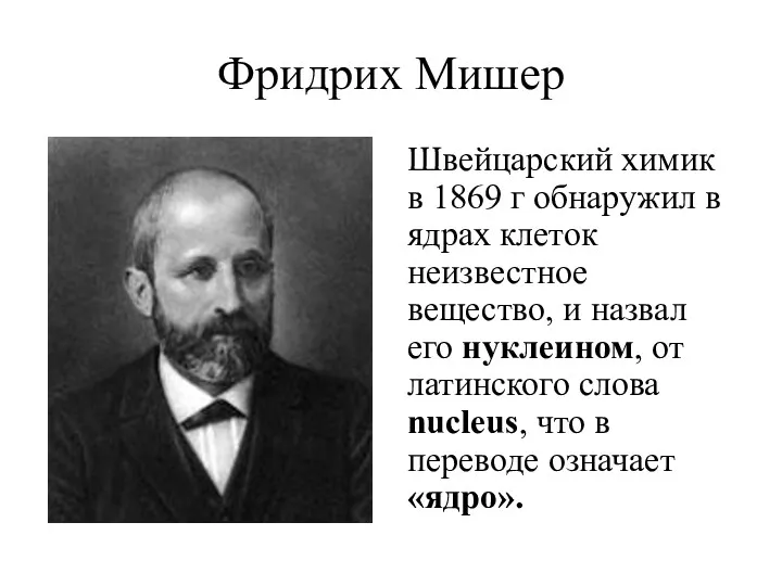 Фридрих Мишер Швейцарский химик в 1869 г обнаружил в ядрах