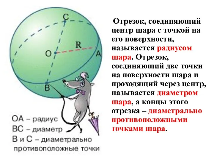 Отрезок, соединяющий центр шара с точкой на его поверхности, называется