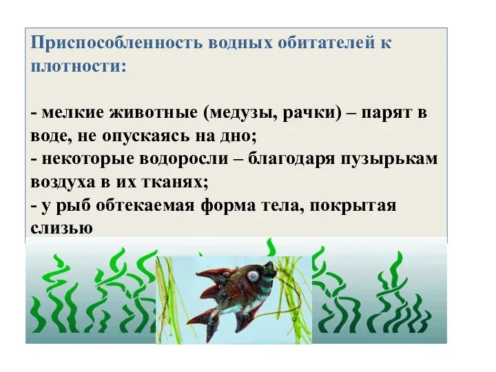 Приспособленность водных обитателей к плотности: - мелкие животные (медузы, рачки)