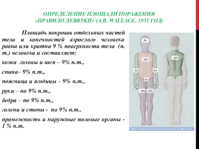 ОПРЕДЕЛЕНИЕ ПЛОЩАДИ ПОРАЖЕНИЯ «ПРАВИЛО ДЕВЯТКИ» (А.В. WALLACE, 1951 ГОД) Площадь