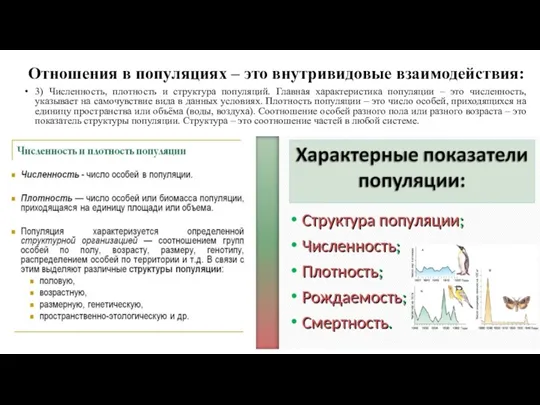 Отношения в популяциях – это внутривидовые взаимодействия: 3) Численность, плотность и структура популяций.